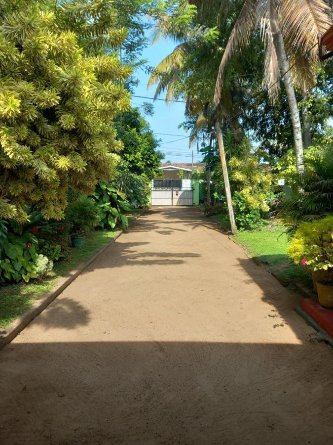 Shenya Villa بينتوتا المظهر الخارجي الصورة