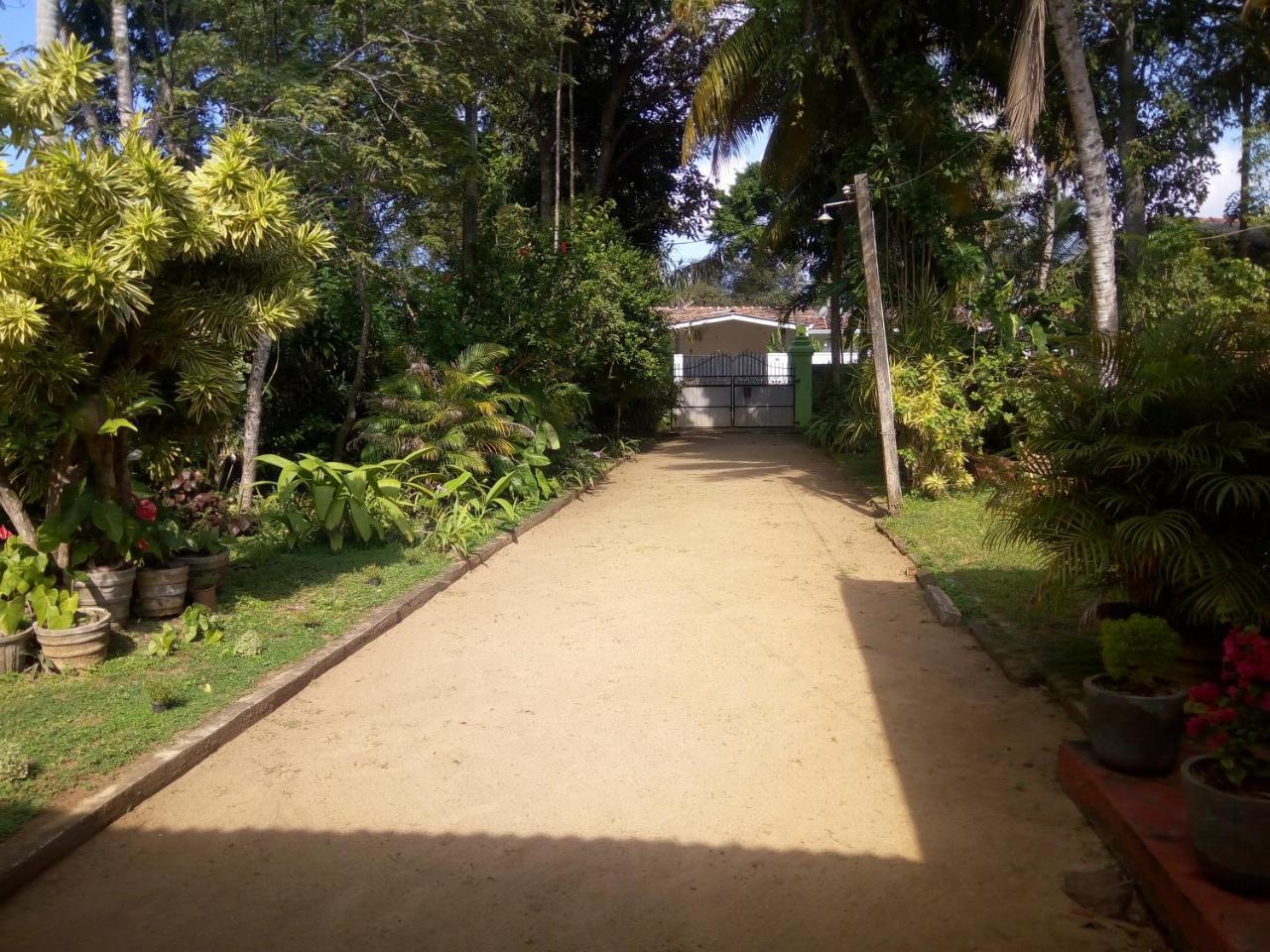 Shenya Villa بينتوتا المظهر الخارجي الصورة