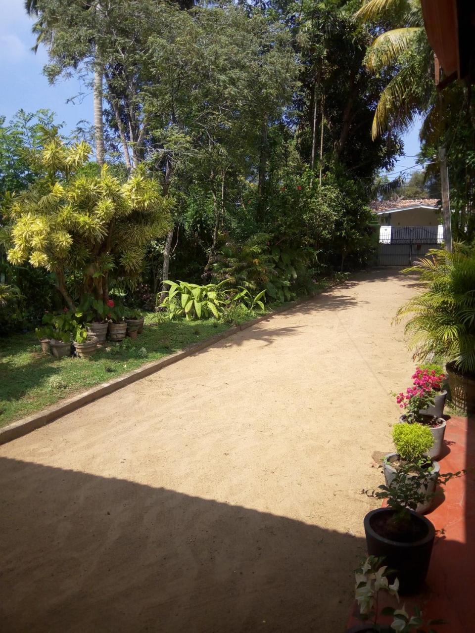 Shenya Villa بينتوتا المظهر الخارجي الصورة